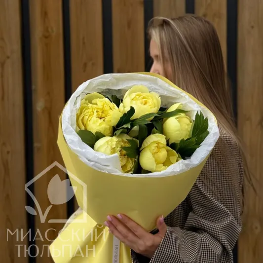 Солнечные пионы