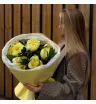 Солнечные пионы