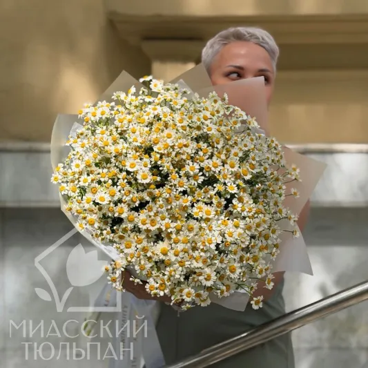 Ромашковое лето