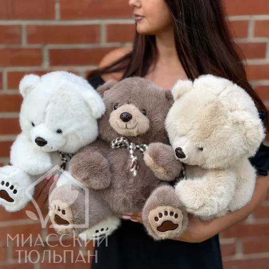 Медведь плюшевый 🐻