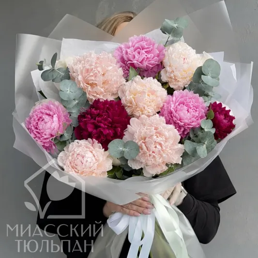 Микс ароматных пионов (11шт)