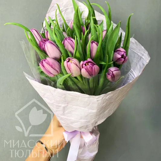 Букет тюльпанов (19 шт)