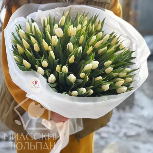 101 тюльпан 😍