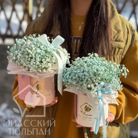 Милые коробочки с гипсофилой