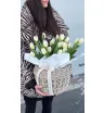 Тюльпаны на луковицах в кашпо 😍😍😍