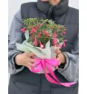 Фуксия горшечная