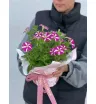 Петуния горшечная