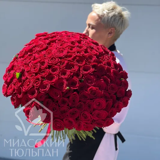 WOW букет 151 роза