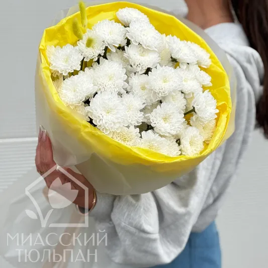 Пушистые облака хризантем