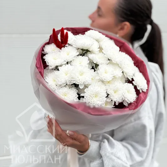Пушистые облака хризантем