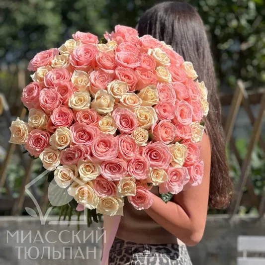 51 роза сорта Talea и Saida