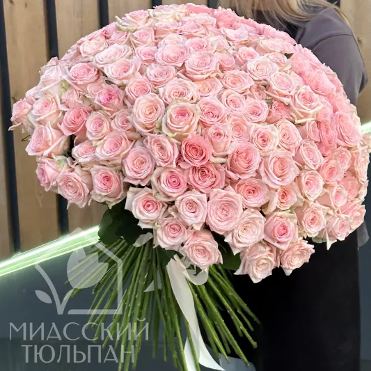 151 роза 80 см Sweet Avalanche