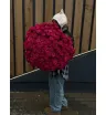 101 малиновая роза