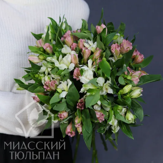 Монобукет альстромерий
