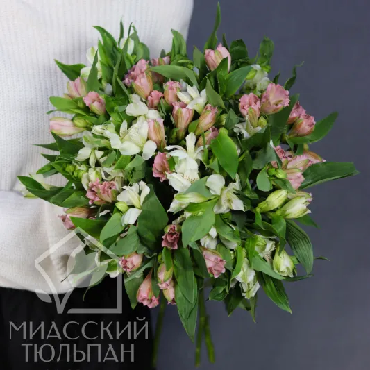Монобукет альстромерий