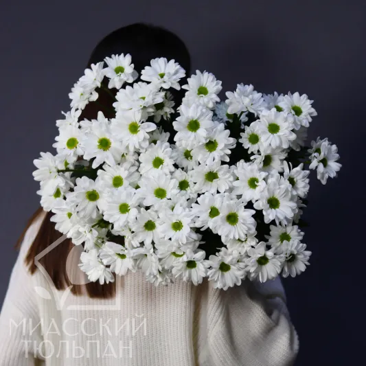 Монобукет белых хризантем