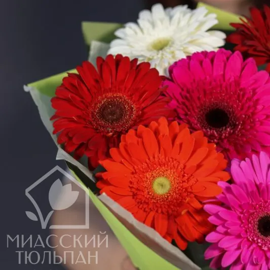 Монобукет с герберами