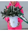Композиция в шляпной коробке из нобилиса 1