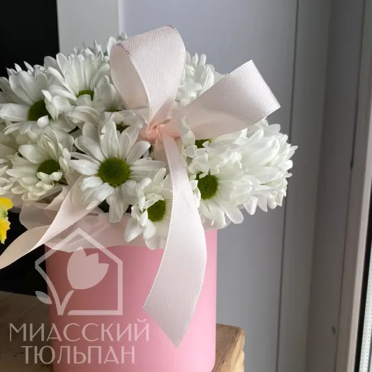 Коробочка Ромашек
