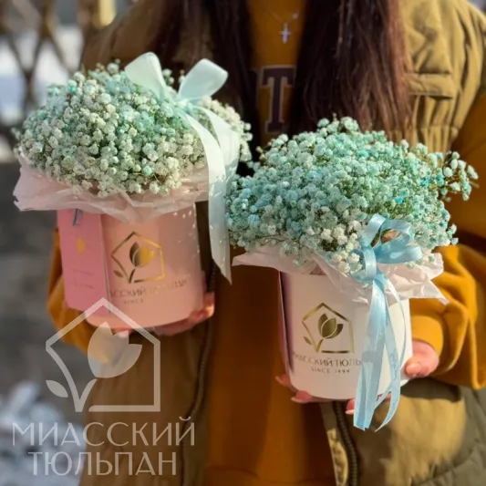 Милые коробочки из стойкой гипсофилы