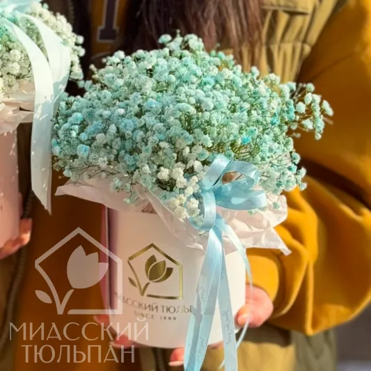 Милые коробочки из стойкой гипсофилы