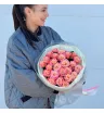 Прекрасные розы сорта Miss Piggy 2
