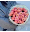 Прекрасные розы сорта Miss Piggy 1