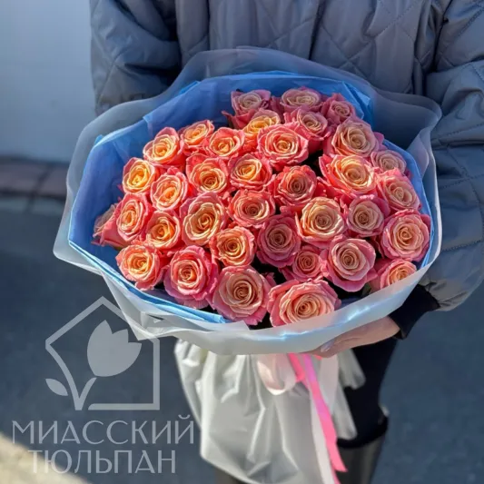 Монобукет роз сорта Miss Piggy