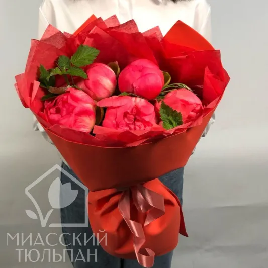 Пионы Coral