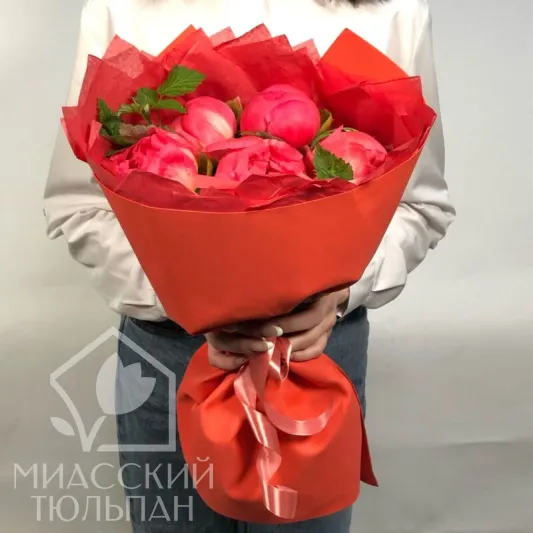 Пионы Coral