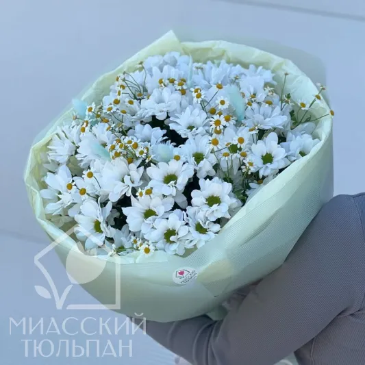 Букет хризантем и ромашек