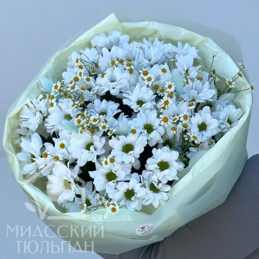 Букет хризантем и ромашек