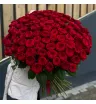 101 роза 80 см