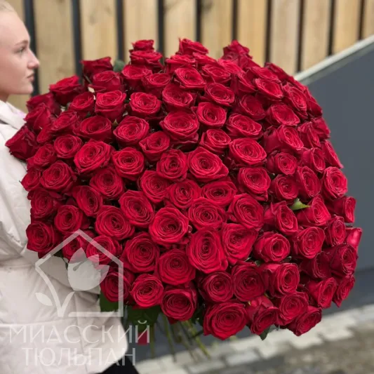 101 роза 80 см