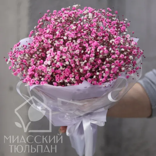Букет розовой гипсофилы