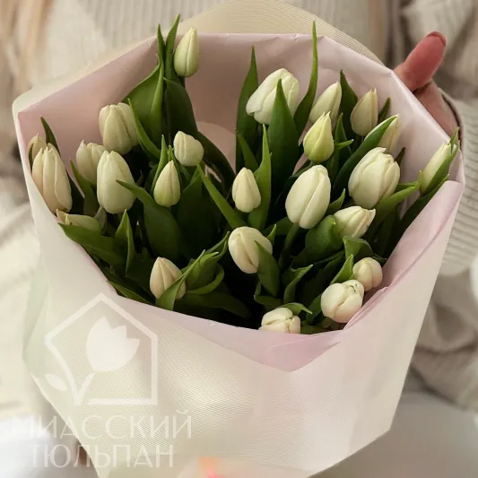 Букет из тюльпанов❤️