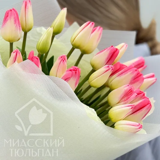 Букет из 23 тюльпанов